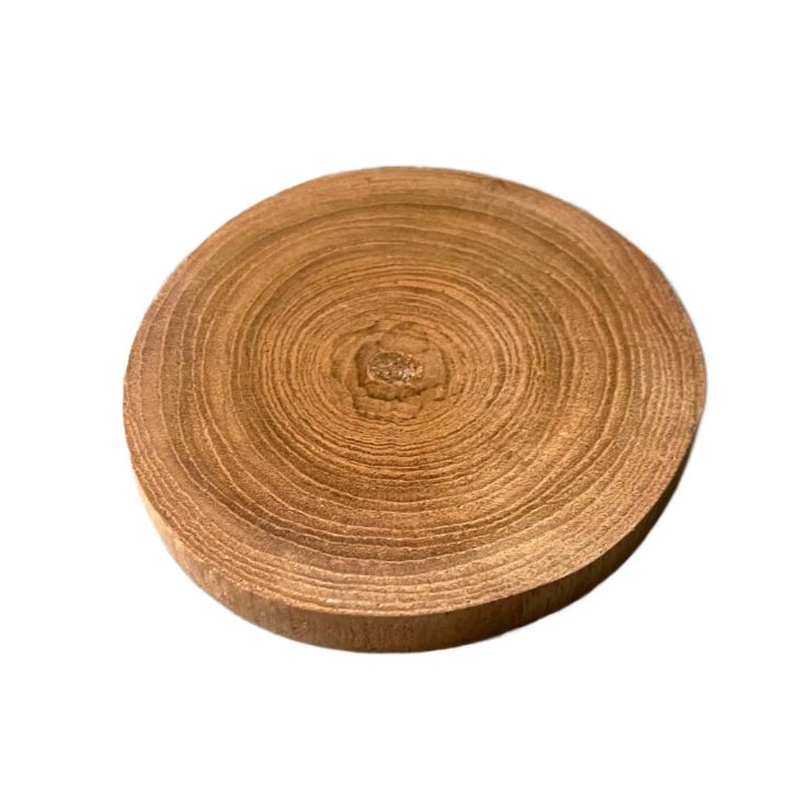 wooden slice without bark for multiusing  ( 7 inch  )