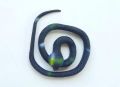 Snake Toys for Kids. 
