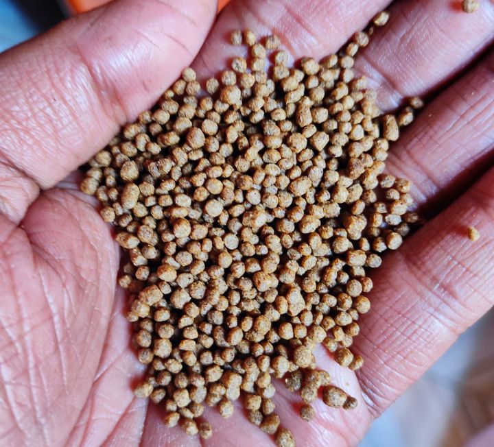 1.5%20mm%20Fish%20Food%201kg%20For%20any%20fish%20-%20Image%202
