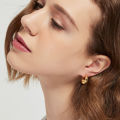925 Sterling Silver plated Chunky Hoop Earrings for Women Geometric Circle Punk Ear Jewelry Party 2021 New Dropshipping.