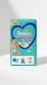Pampers Diapers Baby Pants Medium 40 Pcs. 