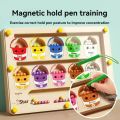 Magnetic Maze 2-in-1 STEM Toy for Ages 3-6, Develops Fine Motor Skills & Concentration.