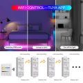 Tuya Wifi FCOB RGBCCT LED Light Strip 24V 6Pin 5in1 RGBCCT LED Strip Light Controler 4 Scene 4 Zone Touch Panel for Alexa . 