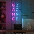 Neon lights for gaming room. 