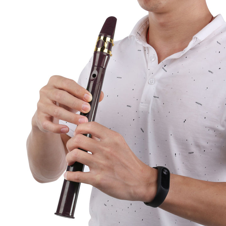 8-%20Hole%20Mini%20Pocket%20Saxophone%20Lightweight%20Portable%20Saxophone%20with%204%20Reeds%20Finger%20Charts%20Mini%20Saxophone%20Instrument%20for%20Beginners%20-%20Image%202