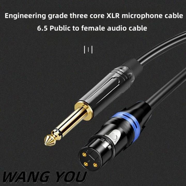 6.35mm%20XLR%20Male%20And%20Female%20Microphone%20Cable%20Large%20Three%20Core%20Large%20Two%20Core%20Mixing%20Table%20Power%20Amplifier%20Sound%20Cable%20-%20Image%202