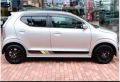 2pcs Alto works side body sticker trendy design. 