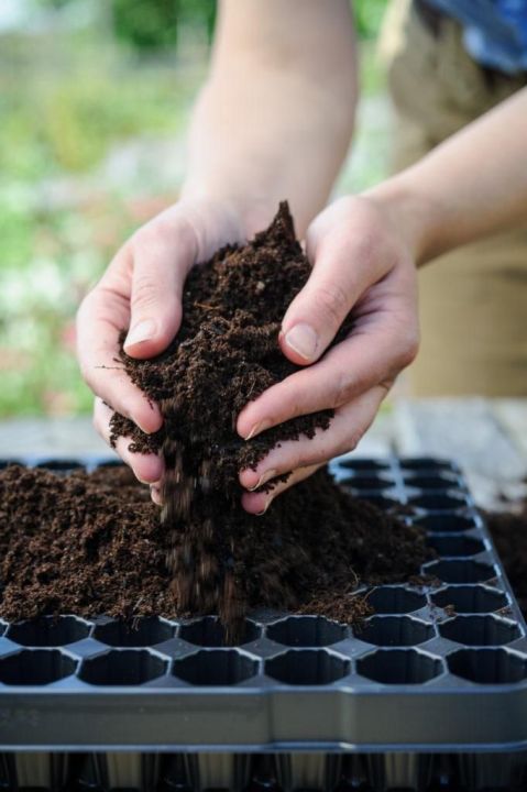 Compost%203kg%20fertilizer%20for%20home%20gardening%20-%20Image%202