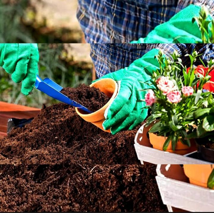 1%20Kg%20Loose%20Cocopeat%20Powder%20100%25%20Organic%20And%20Low%20EC%20-%20Image%203