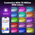 MOES Tuya ZigBee LED Strip Light Smart Party Music Sync RGB5050 Controller 16 Million Colors Changing Support Alexa  Home. 
