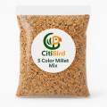 CitiBird Premium 5-Color Millet Mix – 1kg | Dust-Free Balanced Bird Seed. 