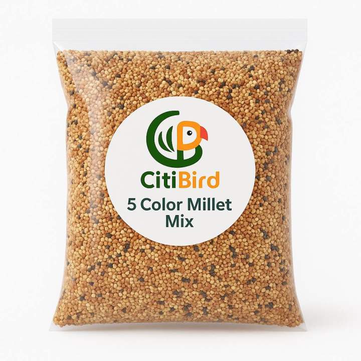 CitiBird%20Premium%205-Color%20Millet%20Mix%20%E2%80%93%201kg%20%7C%20Dust-Free%20Balanced%20Bird%20Seed%20-%20Image%208