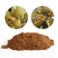 APM COCONUT Fertilizer For Home Gardening Agriculture Pol Pohora High Quality NPK Fertilizer Powder Fertilizer For Agriculture. 