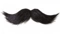 Artificial handlebar moustache for kids , stick on mustache, Artificial mustache, cheap Artificial mustache - Costume for kids. 