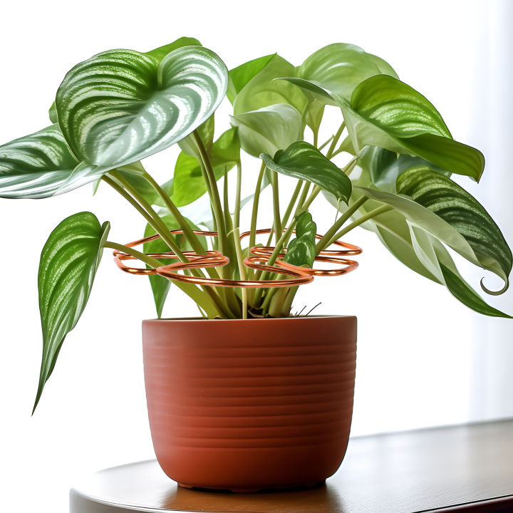 Plant Support Holder Corrosion Resistant Cute Leaf Shaped Plant Cages and Supports Suitable for Climbing Flowers