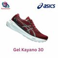 Asics Gel Kayano 30 running shoes for men.