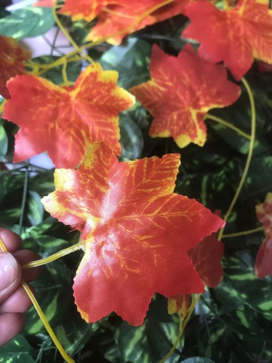 Leaf%20Vine%20Decor%20Strand%20%20Per%20-%207ft%206inc%20-%20Image%206