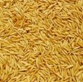 Moonji / white organic Paddy seeds 1 kg for birds or other animals. 