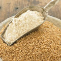 wheat flour natural chakki ka atta 100% Natural desi atta chakki stone atta chakki. 