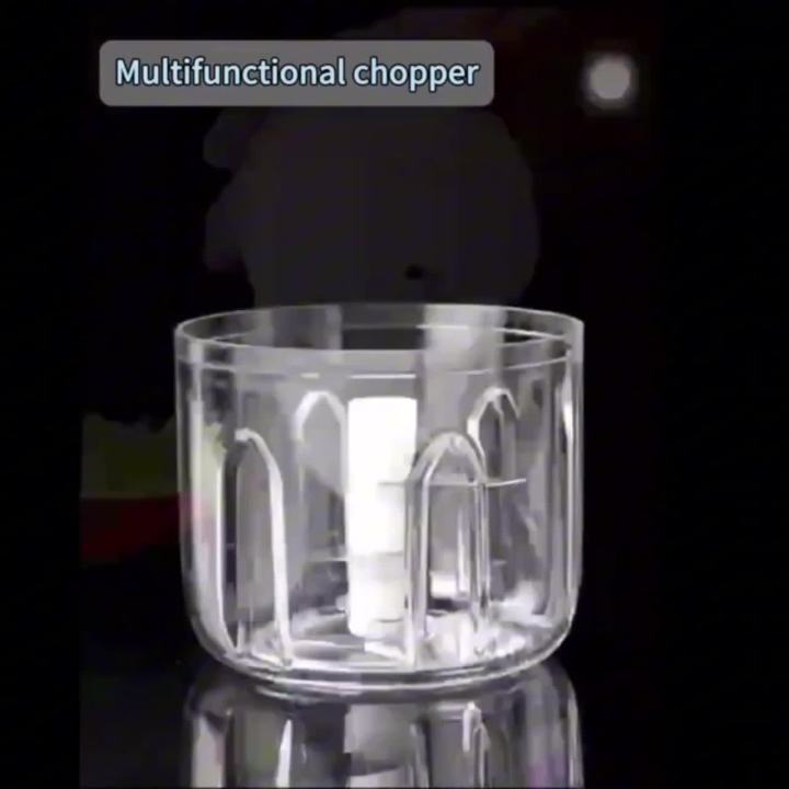 Electric Garlic Chopper, Mini Portable Veggie Chopper, 250ML Garlic Grinder Masher Onion Chopper, Blender to Vegetable, Wireless
