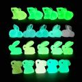 50 PCS Luminous Mini Resin Animals 50 Styles Miniatures Glow in The Dark Tiny Little Figures to Hide Small Duck Figures.