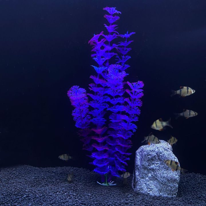 30cm%20High%20Aquarium%20Simulated%20Water%20Plants%20Fish%20Tank%20Landscaping%20Plastic%20Water%20Plants%20Micro%20Landscape%20Decoration%20-%20Image%204