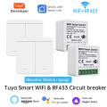 Tuya WiFi Smart Light Switch Smart Home Wireless RF 433mhz Push Button Wall Switch Via Alexa  Home Alice Smart Life App lightify. 