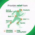 Iodex Balm Pain Relief 16gm. 