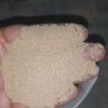 10 kg Mealworm frass, organic fertilizer. 