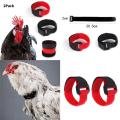 2pcs No Crow Collar for Roosters No Crowing Belt Neckband Poultry Supplies Anti Crow Rooster Collar No Noise.