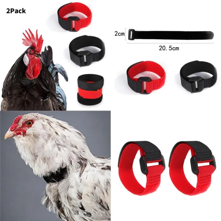 2pcs%20No%20Crow%20Collar%20for%20Roosters%20No%20Crowing%20Belt%20Neckband%20Poultry%20Supplies%20Anti%20Crow%20Rooster%20Collar%20No%20Noise%20-%20Image%202