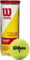 Wilson Cricket Ball. 