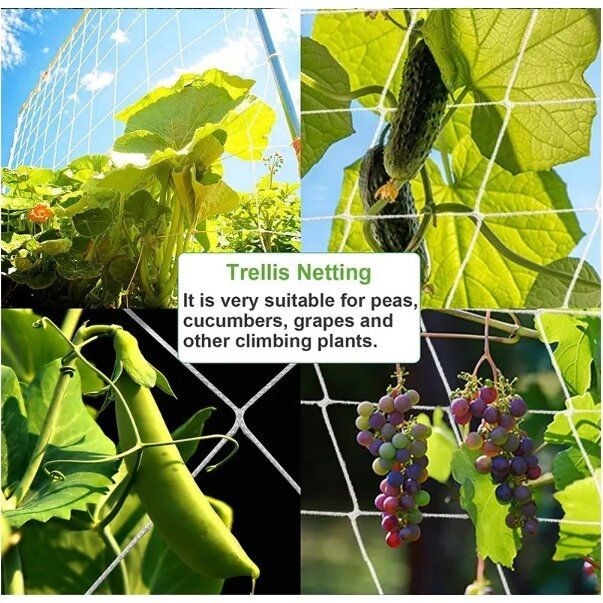 2*100m%20vegetable%20netting,%20vegetable%20trellis%20netting,%20nylon%20mesh%20netting,%20melon%20netting,%20cucumber%20planting%20netting%20-%20Image%202