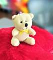 2 pieces Cute Teddy Bear Design Key Ring For Gift. 