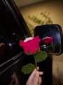 Handmade woolen rose. 