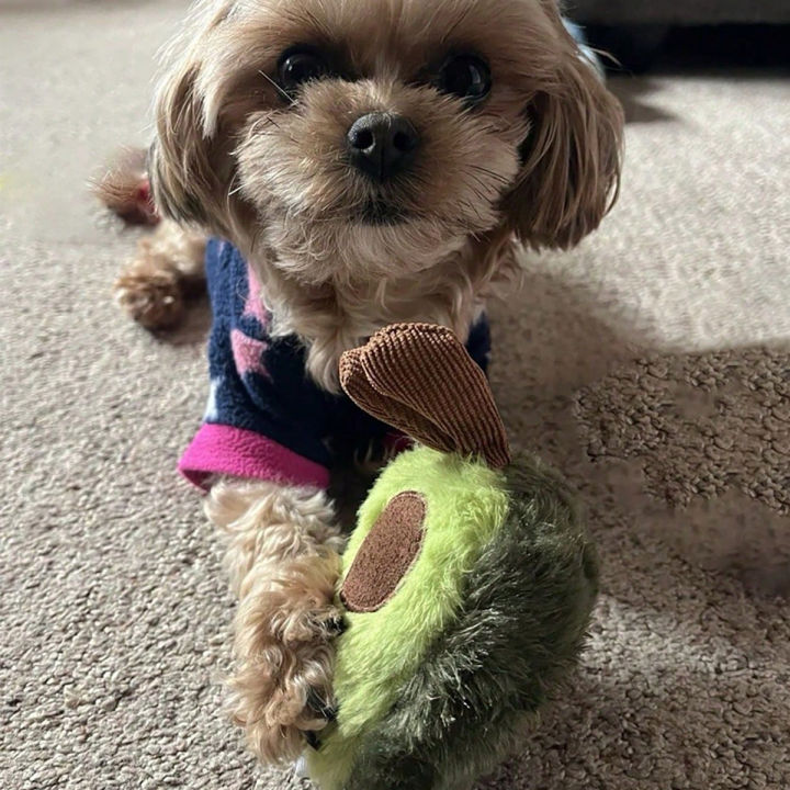 A%20Cute%20Avocado%20Pet%20Plush%20Toy,%20Suitable%20for%20Daily%20Companionship%20of%20Small%20and%20Medium-Sized%20Dogs%20-%20Image%205