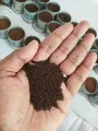 Sylhet'r Cha Pata 500gm - Sylhet'r Tea. 