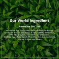 Pilgrim Australian Tea Tree Non-Drying Anti-Dandruff Shampoo For Prevents Dandruff Recurrence 200 ml. 