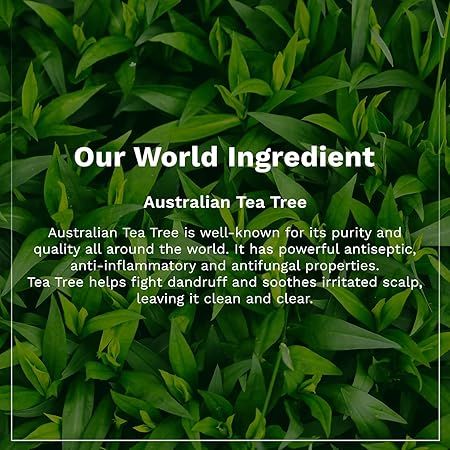 Pilgrim%20Australian%20Tea%20Tree%20Non-Drying%20Anti-Dandruff%20Shampoo%20For%20Prevents%20Dandruff%20Recurrence%20200%20ml%20-%20Image%203