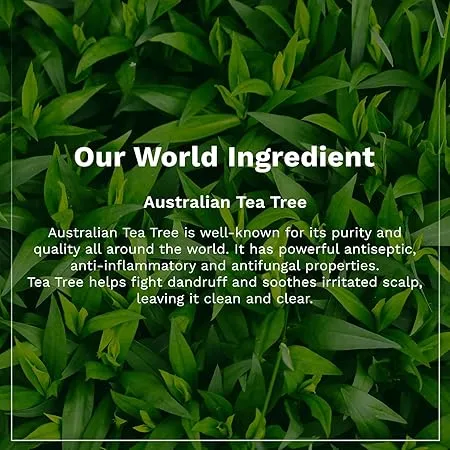 Pilgrim%20Australian%20Tea%20Tree%20Non-Drying%20Anti-Dandruff%20Shampoo%20For%20Prevents%20Dandruff%20Recurrence%20200%20ml%20-%20Image%203