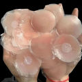 Reusable Women's Breast Lift Nipple Covers, Invisible Sticky Backless Bra, Silicone Petal Adhesive, No Strap Design.