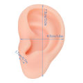 Silicone Human Ear Model 1 Pair Silicone Ear Model Soft Flexible Simulation Ear Model for Earrings Display Ear Piercing Exercise. 