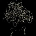 Premium Fish Hook Earring Wires (Golden & Silver) Findings(20g).