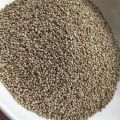 Silam ( Perrila ) Seeds 250 gm. 