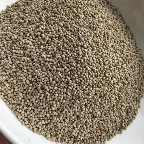 Silam%20(%20Perrila%20)%20Seeds%20250%20gm%20-%20Image%203