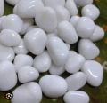 White stone premium quality big size for aquarium 500 gram. 