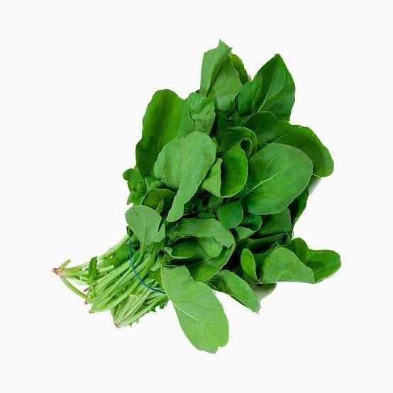 Jarjeer Salad Seeds. Arugula Rocket. Pack of 5