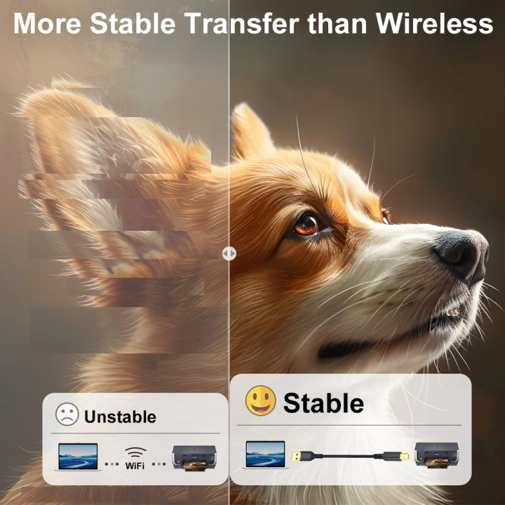 Nylon%20Braided%20%201PC%20USB%20B%20to%20USB%20A%20Printer%20Cable%20Scanner%20Cord%20High%20Speed%20Printer%20Cord%20for%20HP%20Canon%20Epson%20Dell%20Lexmark%201M%202M%203M%205M%20-%20Image%206