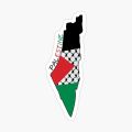 50 pc Palestinian stickers cut hq shiny glossy digital stickers Palestine flag peace support Palestine peace. 