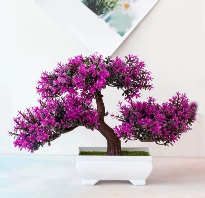 Bonsai%20tree%20-%20Image%203
